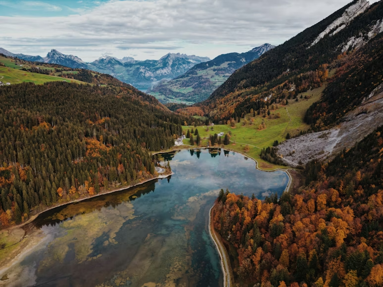 bosques alpinos en otoño con colores dorados en Suiza