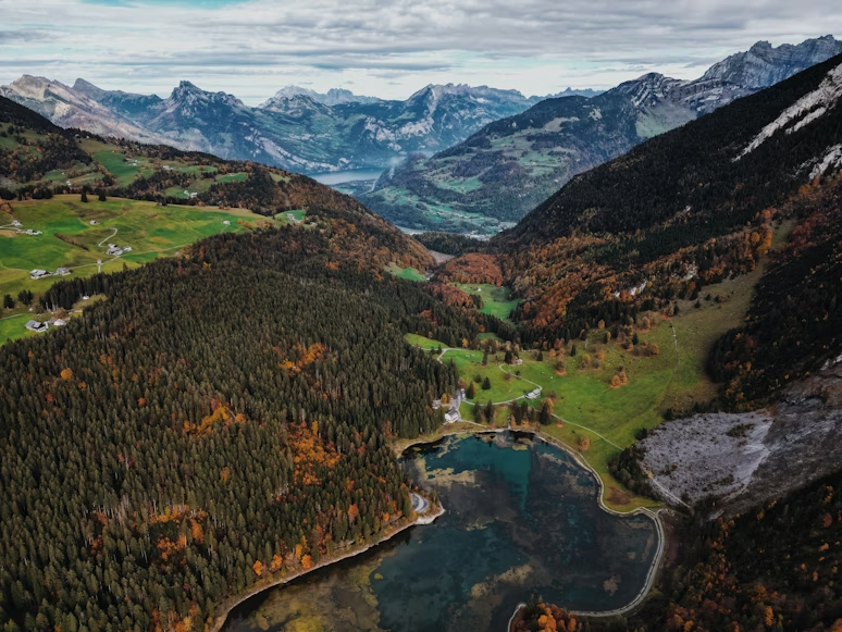 bosques dorados con montañas en Suiza durante el otoño